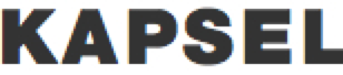 Kapsel's retina logo